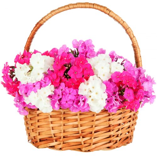 Цветочная композиция в корзине «Взрывной характер»