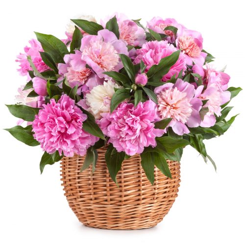 Цветочная композиция «Розовый сон»