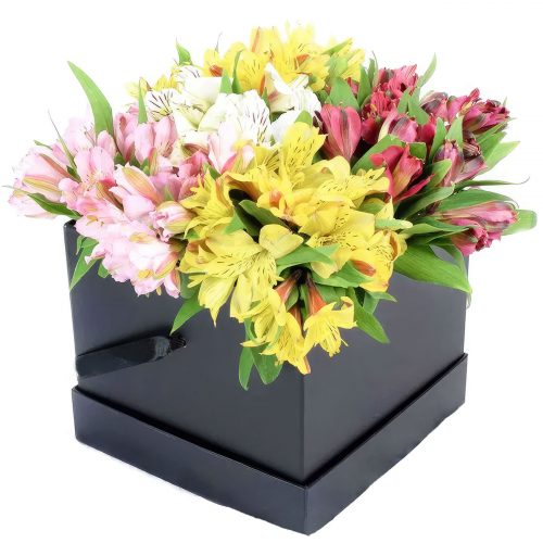 Цветы в коробке «Ваниль»